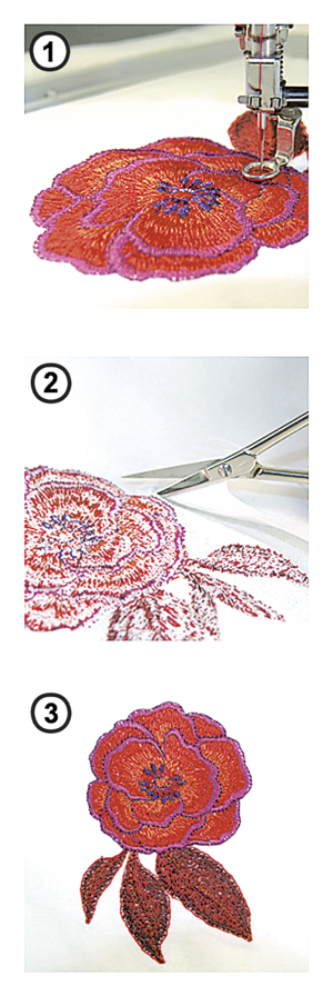 CUT AWAY - SUPER STABLE