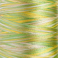 Madeira Classic röð 15-16, 1.000m